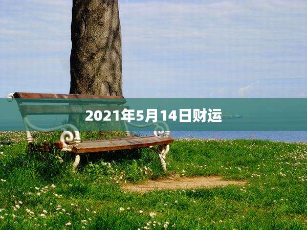 2021年5月14日财运