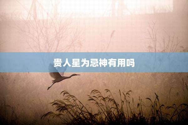 贵人星为忌神有用吗
