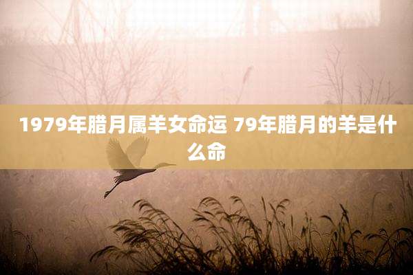 1979年腊月属羊女命运 79年腊月的羊是什么命