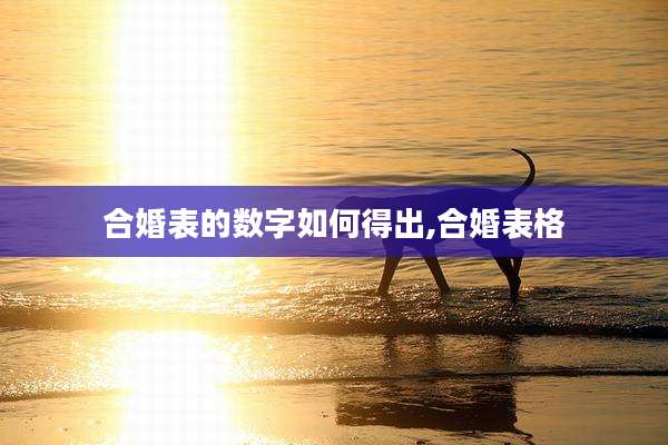 合婚表的数字如何得出,合婚表格