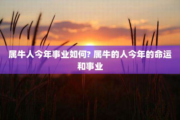 属牛人今年事业如何? 属牛的人今年的命运和事业