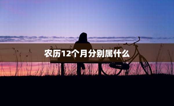 农历12个月分别属什么