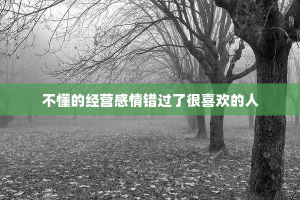 不懂的经营感情错过了很喜欢的人