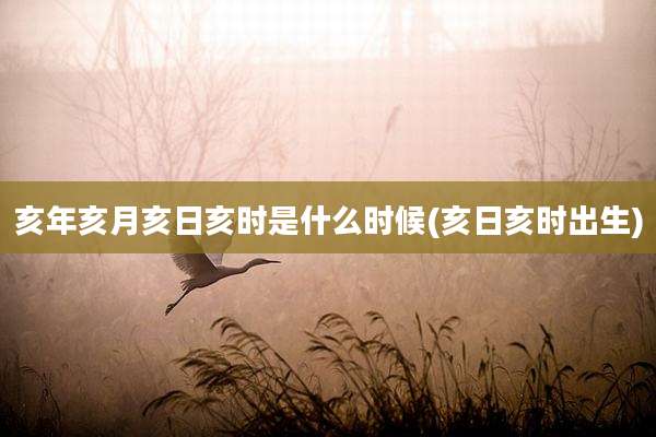 亥年亥月亥日亥时是什么时候(亥日亥时出生)