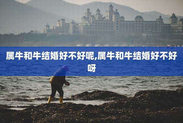 属牛和牛结婚好不好呢,属牛和牛结婚好不好呀