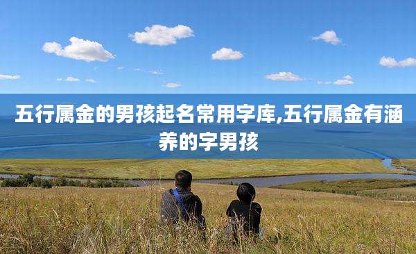 五行属金的男孩起名常用字库,五行属金有涵养的字男孩