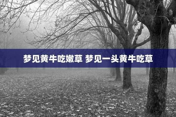 梦见黄牛吃嫩草 梦见一头黄牛吃草