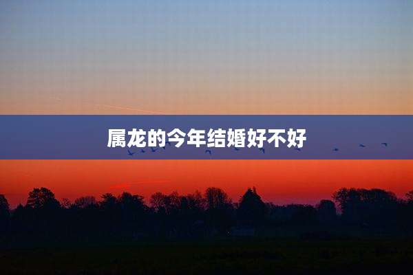 属龙的今年结婚好不好