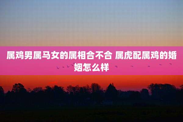属鸡男属马女的属相合不合 属虎配属鸡的婚姻怎么样