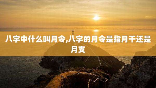 八字中什么叫月令,八字的月令是指月干还是月支