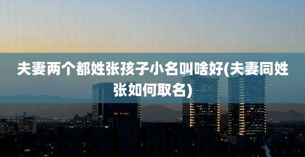 夫妻两个都姓张孩子小名叫啥好(夫妻同姓张如何取名)