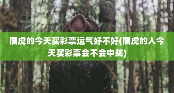 属虎的今天买彩票运气好不好(属虎的人今天买彩票会不会中奖)