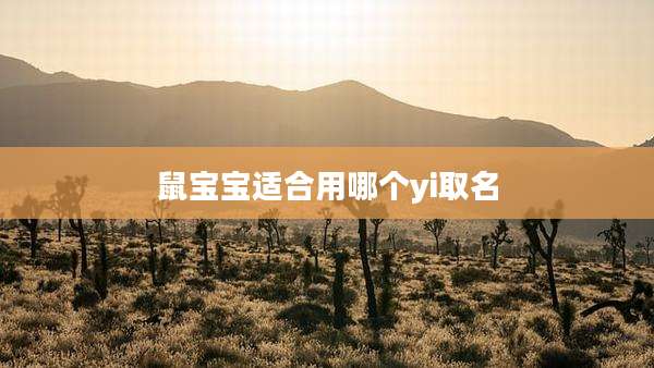 鼠宝宝适合用哪个yi取名
