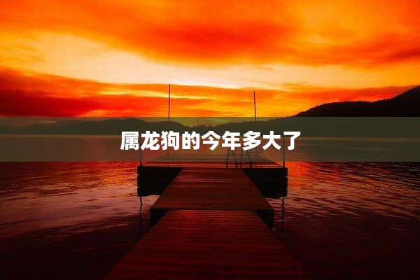 属龙狗的今年多大了