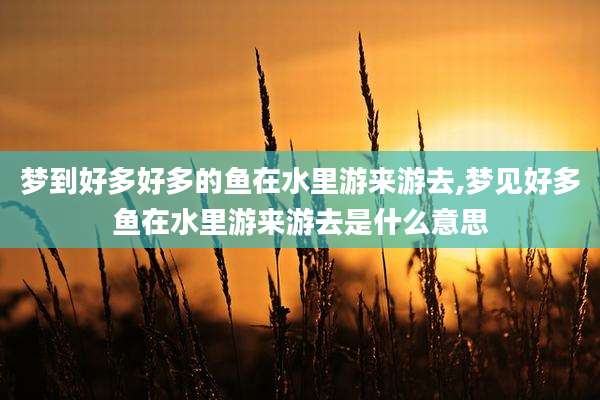 梦到好多好多的鱼在水里游来游去,梦见好多鱼在水里游来游去是什么意思