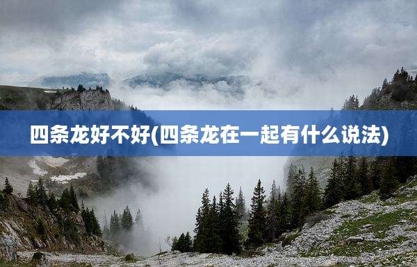 四条龙好不好(四条龙在一起有什么说法)