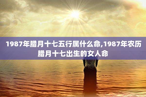 1987年腊月十七五行属什么命,1987年农历腊月十七出生的女人命