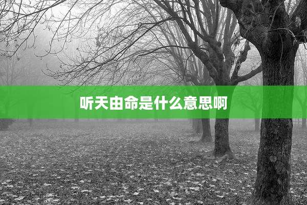 听天由命是什么意思啊