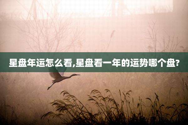 星盘年运怎么看,星盘看一年的运势哪个盘?