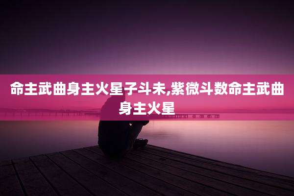 命主武曲身主火星子斗未,紫微斗数命主武曲身主火星