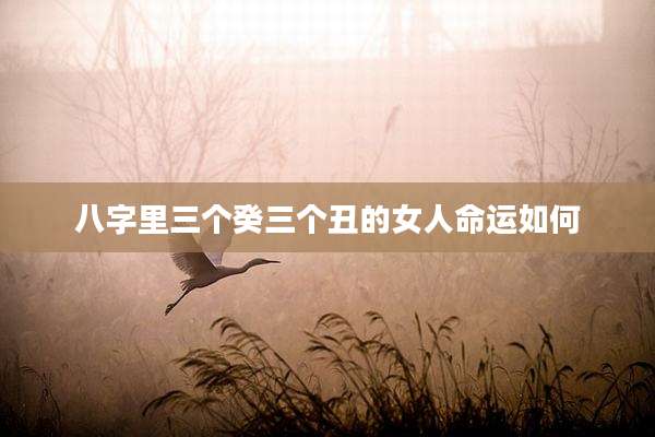 八字里三个癸三个丑的女人命运如何