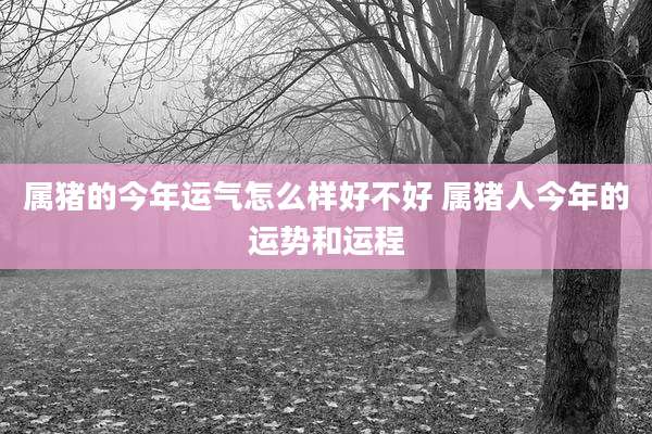 属猪的今年运气怎么样好不好 属猪人今年的运势和运程