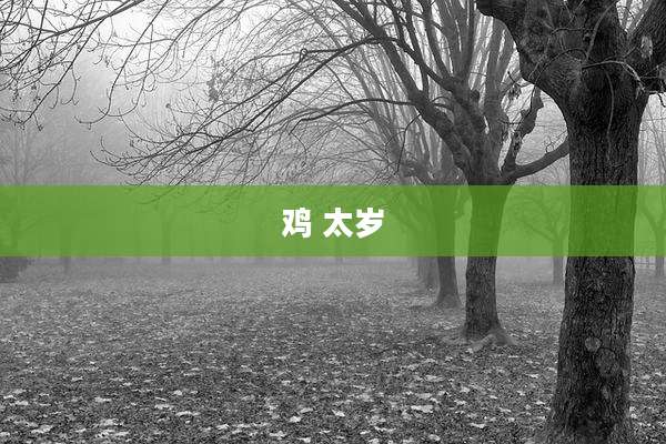 鸡 太岁