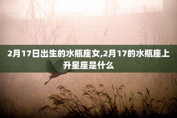 2月17日出生的水瓶座女,2月17的水瓶座上升星座是什么