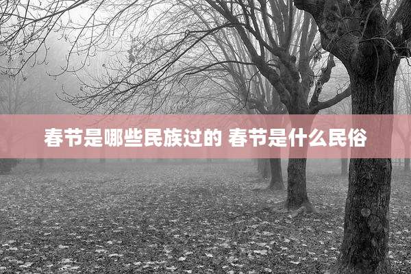 春节是哪些民族过的 春节是什么民俗