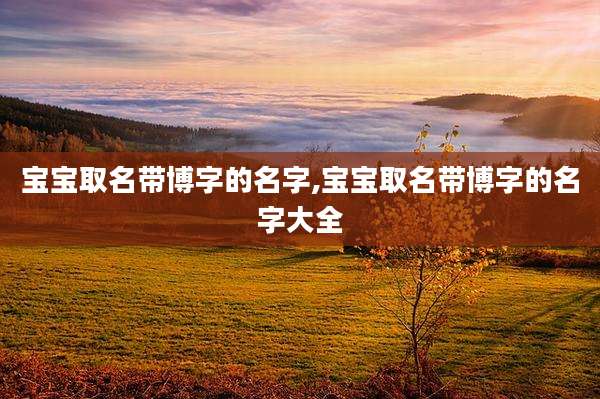宝宝取名带博字的名字,宝宝取名带博字的名字大全