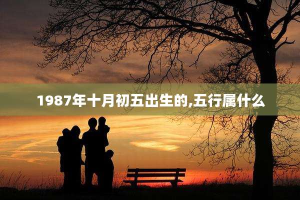1987年十月初五出生的,五行属什么