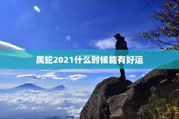 属蛇2021什么时候能有好运