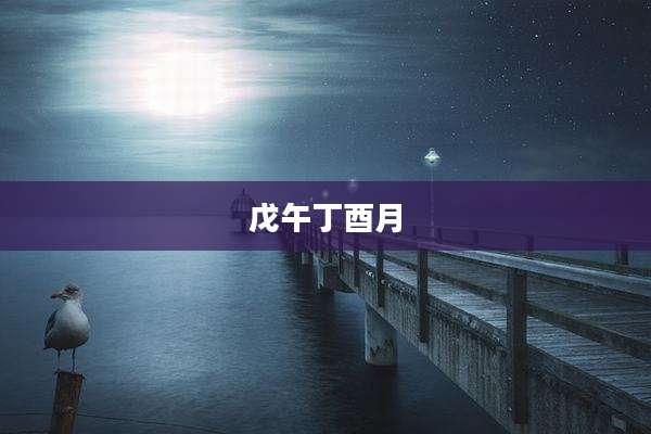 戊午丁酉月