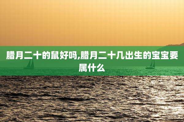 腊月二十的鼠好吗,腊月二十几出生的宝宝要属什么