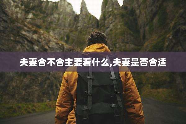 夫妻合不合主要看什么,夫妻是否合适