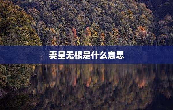 妻星无根是什么意思