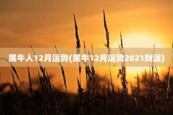 属牛人12月运势(属牛12月运势2021财运)