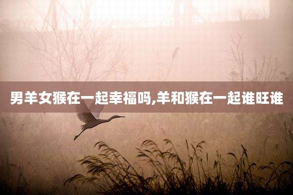 男羊女猴在一起幸福吗,羊和猴在一起谁旺谁