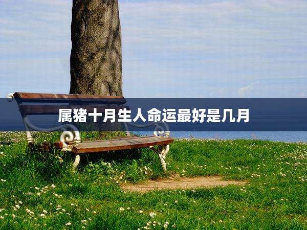 属猪十月生人命运最好是几月