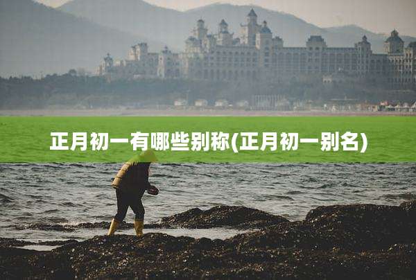 正月初一有哪些别称(正月初一别名)