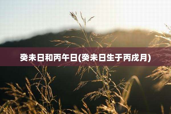 癸未日和丙午日(癸未日生于丙戌月)