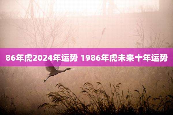 86年虎2024年运势 1986年虎未来十年运势