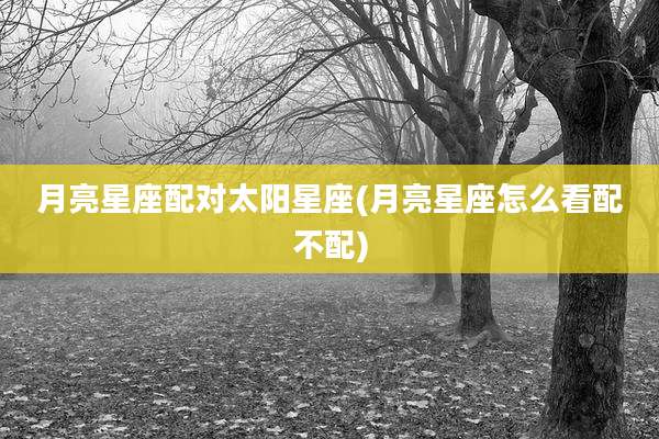 月亮星座配对太阳星座(月亮星座怎么看配不配)