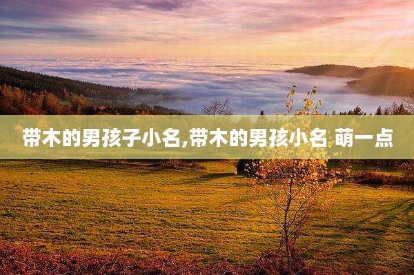 带木的男孩子小名,带木的男孩小名 萌一点