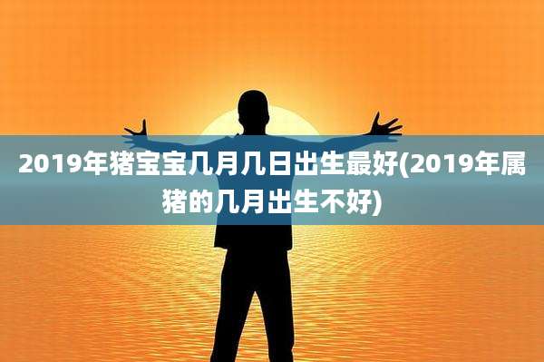 2019年猪宝宝几月几日出生最好(2019年属猪的几月出生不好)