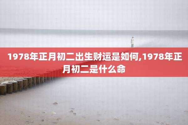 1978年正月初二出生财运是如何,1978年正月初二是什么命