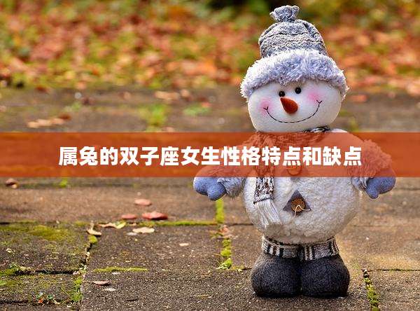 属兔的双子座女生性格特点和缺点