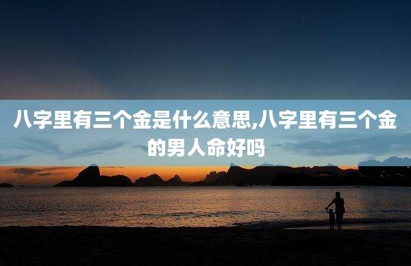 八字里有三个金是什么意思,八字里有三个金的男人命好吗