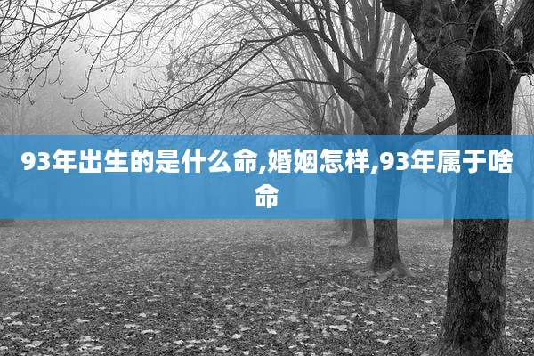 93年出生的是什么命,婚姻怎样,93年属于啥命