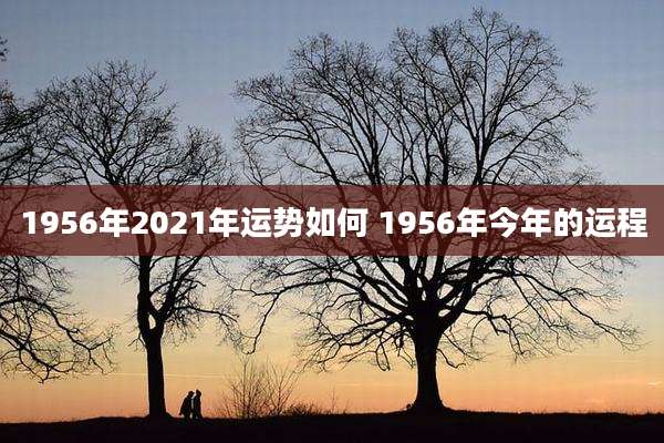 1956年2021年运势如何 1956年今年的运程